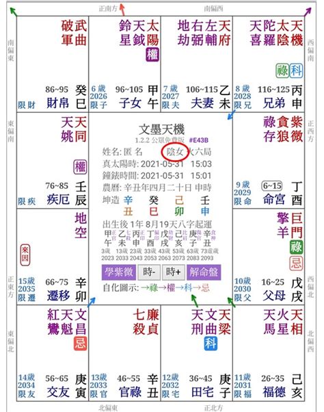 地支怎麼看|紫微斗數盤怎麼看？12宮位星曜排列完整教學 